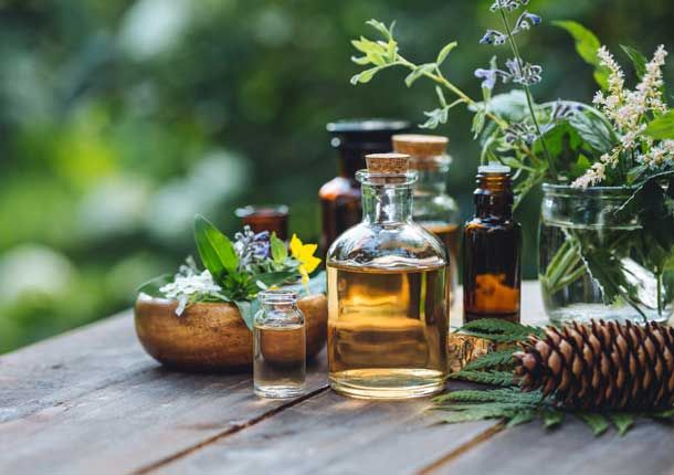 Αξιοποιώντας τη Φύση